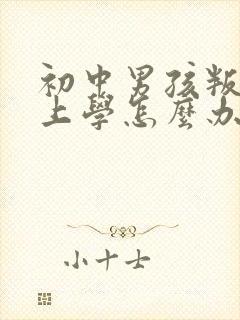 初中男孩叛逆不上学怎么办