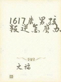 1617岁男孩叛逆怎么办