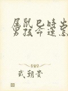 属鼠巳时出生的男孩命运怎么样