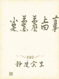 小弟弟上有疙瘩是怎么回事