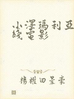 小泽玛利亚的在线电影封面