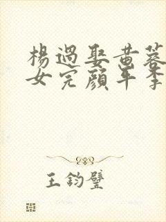 杨过娶黄蓉小龙女完颜平李莫愁小说