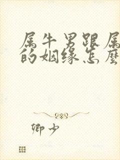 属牛男跟属兔女的姻缘怎么样封面