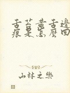 舌苔黄舌边有齿痕是怎么回事