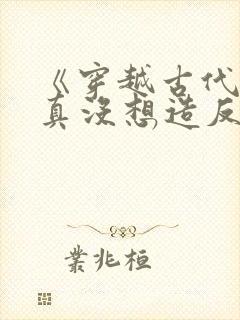 《穿越古代,我真没想造反啊》小说封面