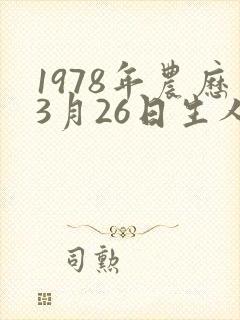 1978年农历3月26日生人命运