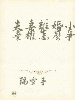 夫妻离婚小孩抚养权怎么争取