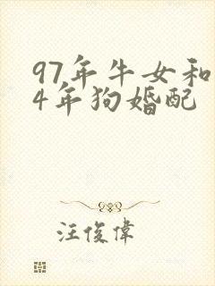 97年牛女和94年狗婚配