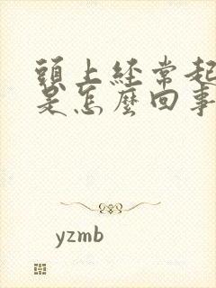 头上经常起疙瘩是怎么回事