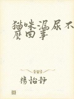 猫咪漏尿不止怎么回事