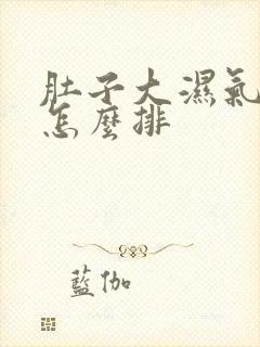 肚子大湿气太重怎么排