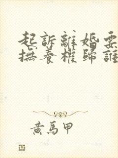 起诉离婚要小孩抚养权归谁