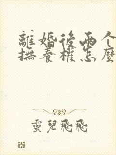 离婚后两个孩子抚养权怎么判定