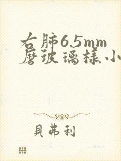 右肺6.5mm磨玻璃样小结节