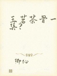 玉茗茶骨一共几集?