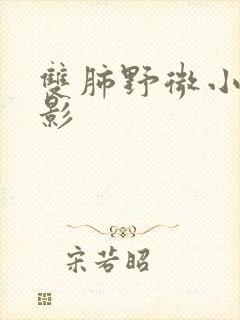 双肺野微小结节影