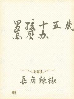 男孩十五岁叛逆怎么办