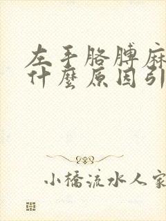 左手胳膊麻木是什么原因引起的怎么办