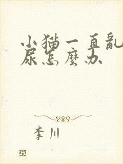 小猫一直乱拉乱尿怎么办