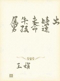 属牛未时出生的男孩命运