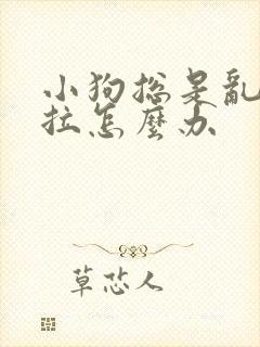 小狗总是乱尿乱拉怎么办