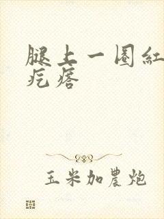 腿上一圈红色的疙瘩