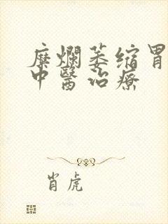 糜烂萎缩胃炎的中医治疗封面