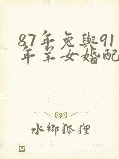 87年兔与91年羊女婚配