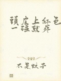 头皮上红色疙瘩一碰就疼封面