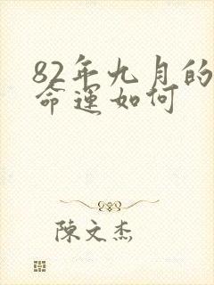 82年九月的狗命运如何封面