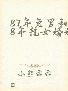 87年兔男和88年龙女婚姻合吗