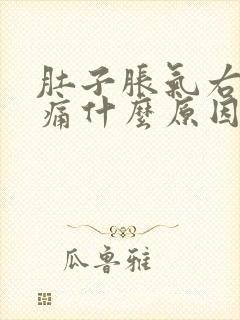 肚子胀气右下腹痛什么原因