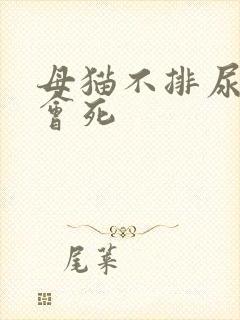 母猫不排尿几天会死