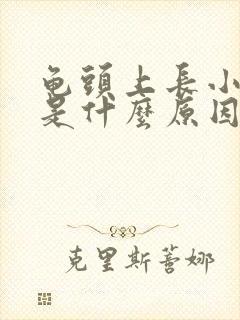 龟头上长小疙瘩是什么原因