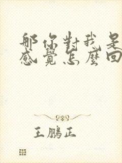 那你对我是什么感觉怎么回复他