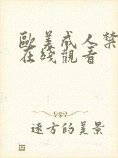 欧美成人禁视频在线观看