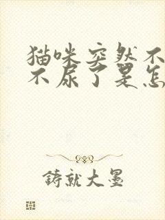 猫咪突然不拉屎不尿了是怎么了封面