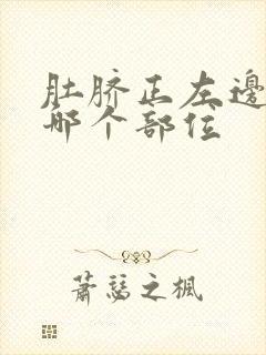 肚脐正左边疼是哪个部位