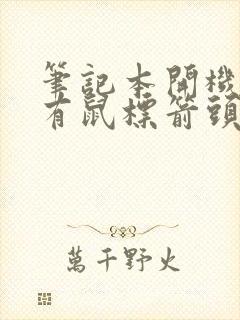 笔记本开机黑屏有鼠标箭头怎么办