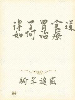 得了胃食道反流如何治疗