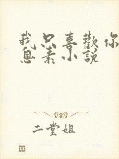 我只喜欢你的信息素小说封面