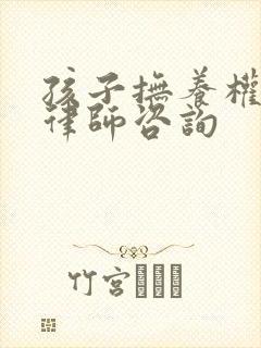 孩子抚养权起诉律师咨询