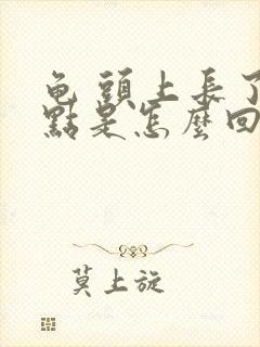 龟 头上长了红点是怎么回事很痒封面