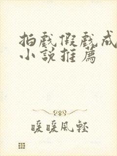 拍戏假戏成真的小说推荐