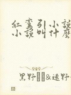 红鸾引小说原著小说叫什么名字