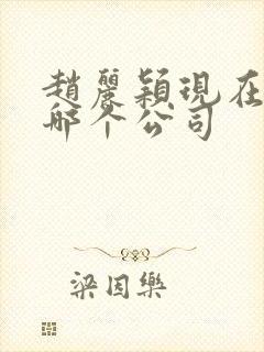 赵丽颖现在属于哪个公司