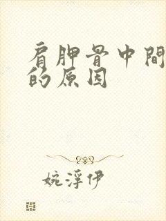 肩胛骨中间酸胀的原因