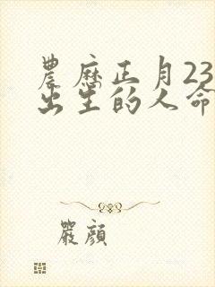 农历正月23日出生的人命运封面