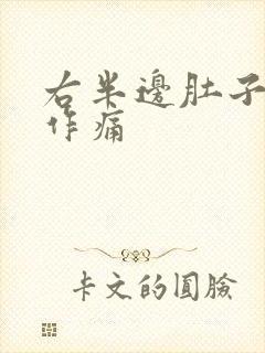 右半边肚子隐隐作痛封面