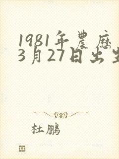 1981年农历3月27日出生的人命运如何?